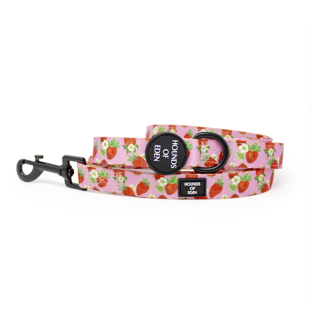 Strawberry Patch Design Dog Harness