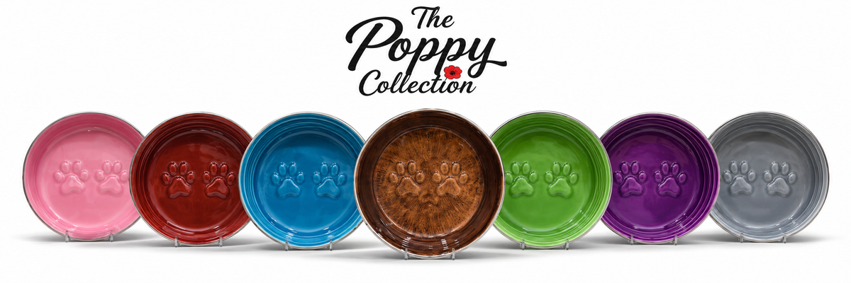 Poppy Collection Stainless Steel Dog Bowl – Green