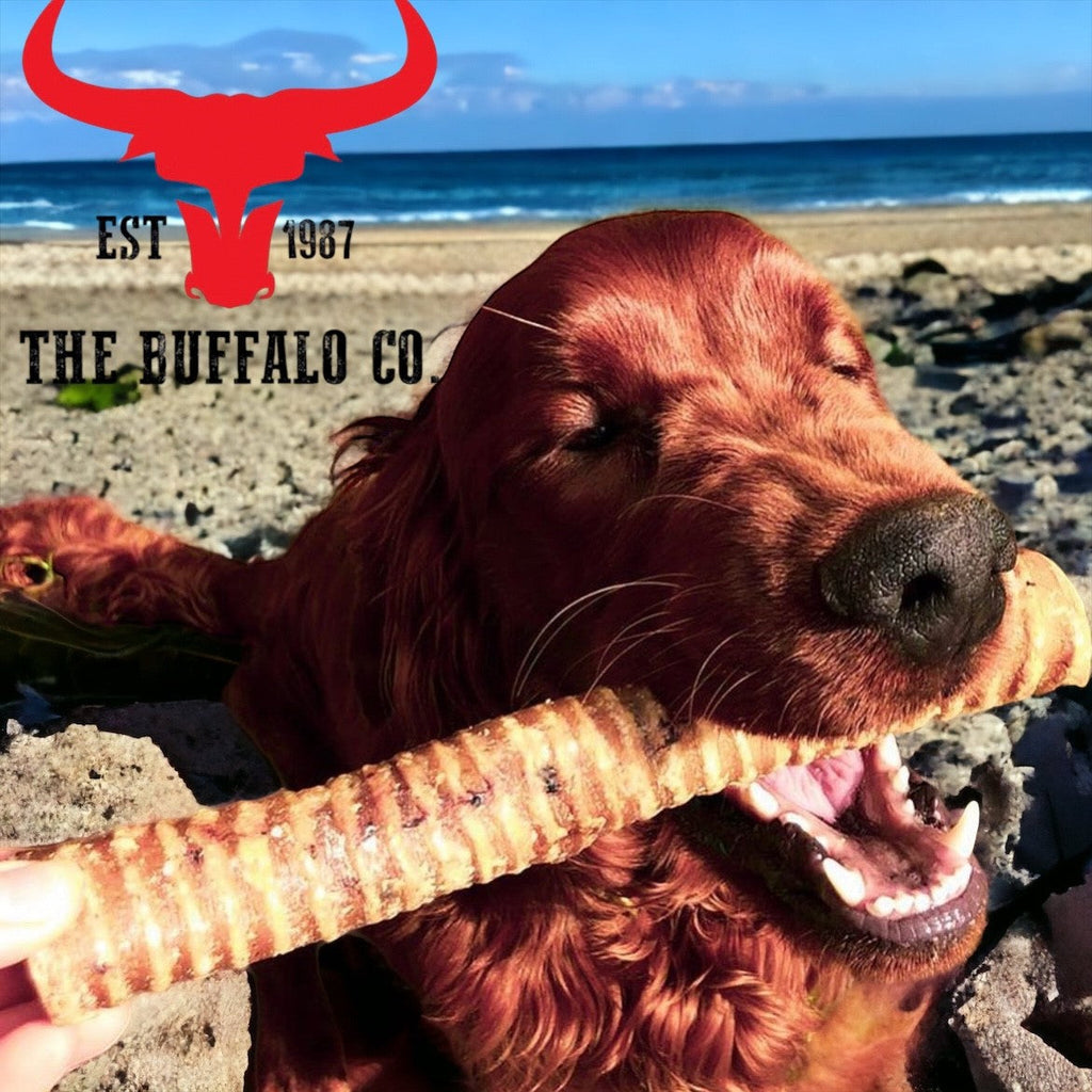 Buffalo Trachea Dog Treats