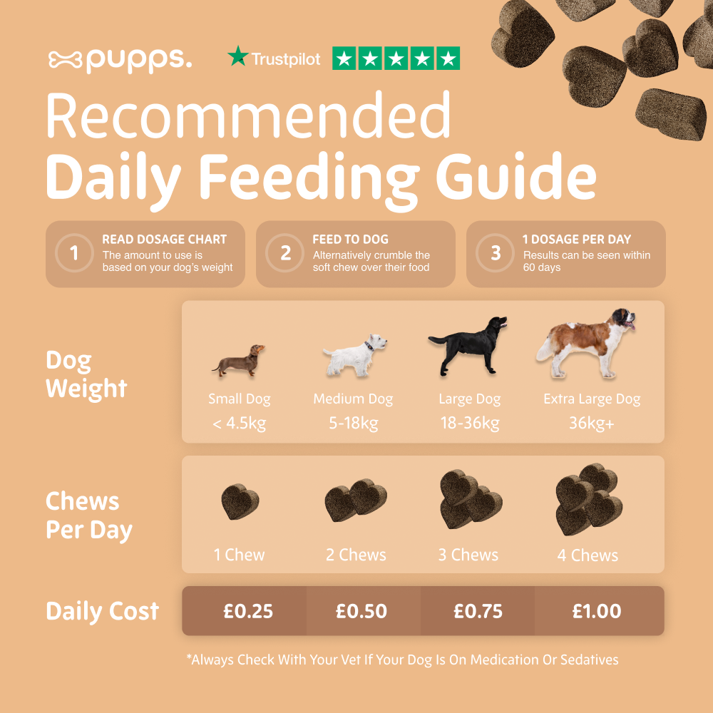 Pupps Hip & Joint Treats for Dogs
