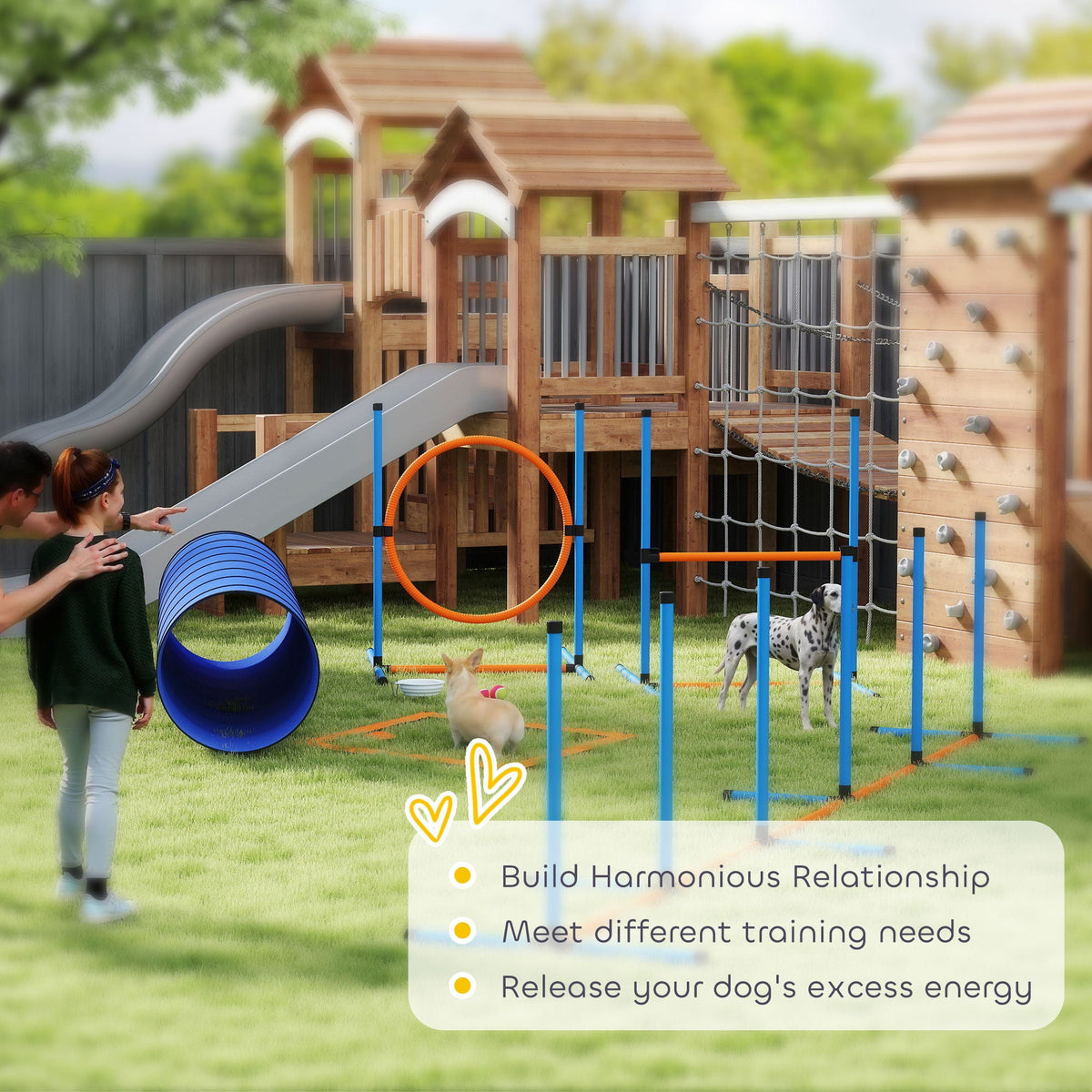 PawHut 8-Piece Dog Agility Training Set 🐾
