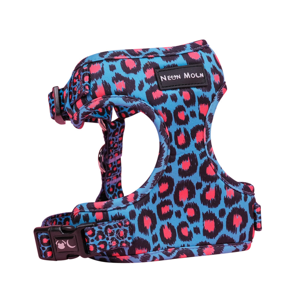 The Willow Mesh Dog Harness