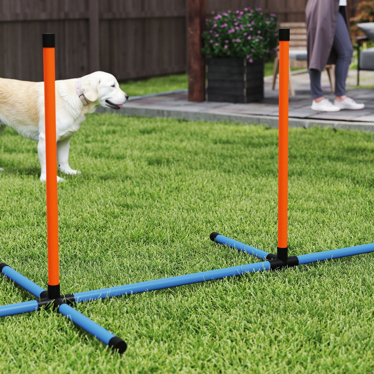 PawHut 6-Piece Dog Agility Training Set 🐾