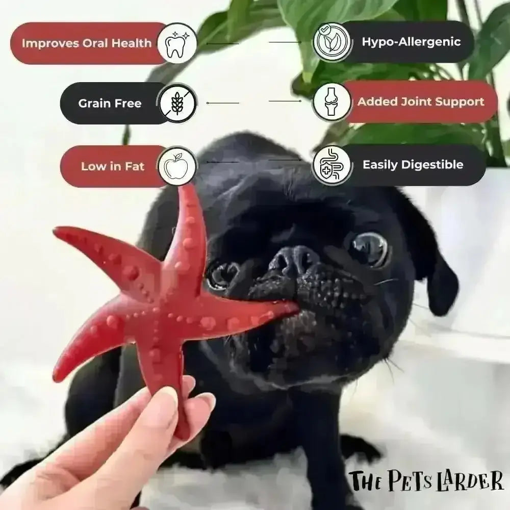Apple & Mint Starfish Vegetable Dog Chew