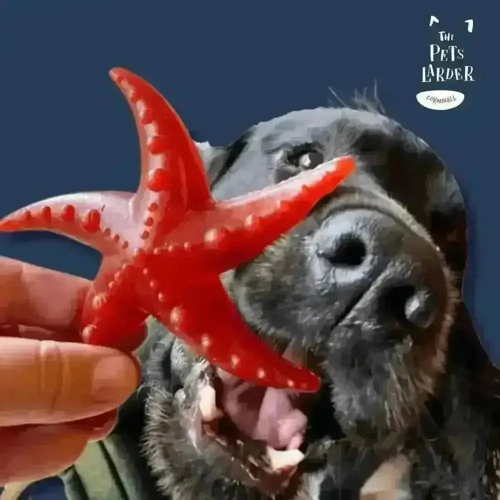Apple & Mint Starfish Vegetable Dog Chew