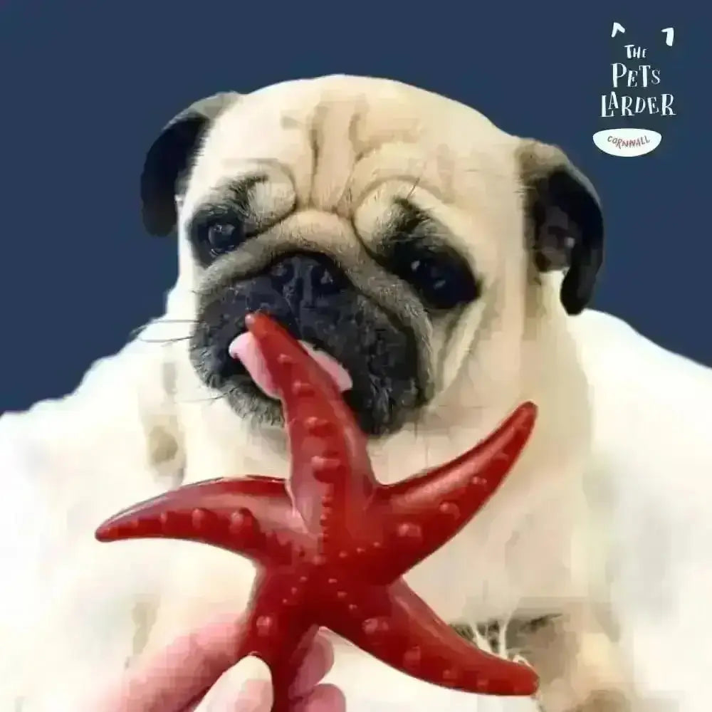 Apple & Mint Starfish Vegetable Dog Chew