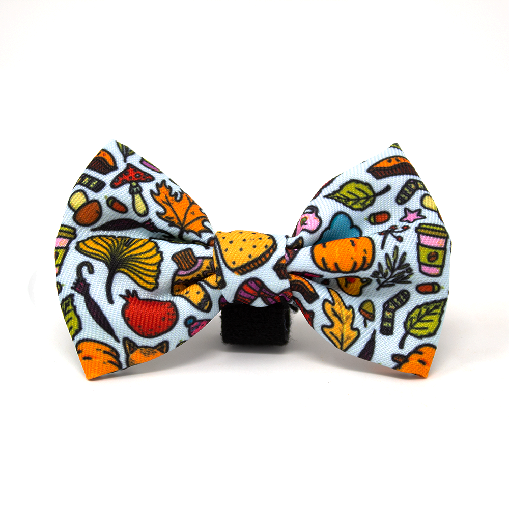 Country Pupkin Autumn Dog Collar