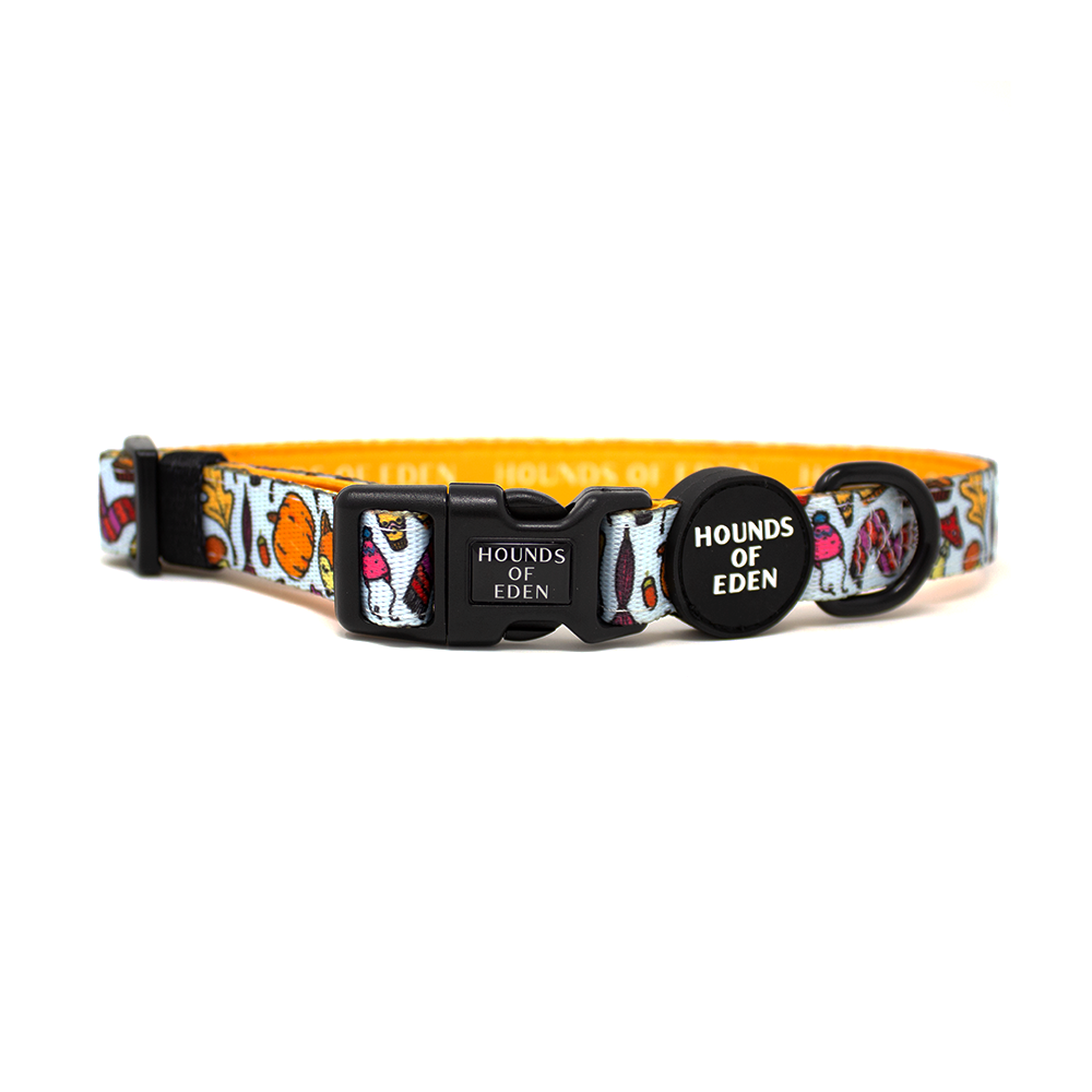 Country Pupkin Autumn Dog Collar