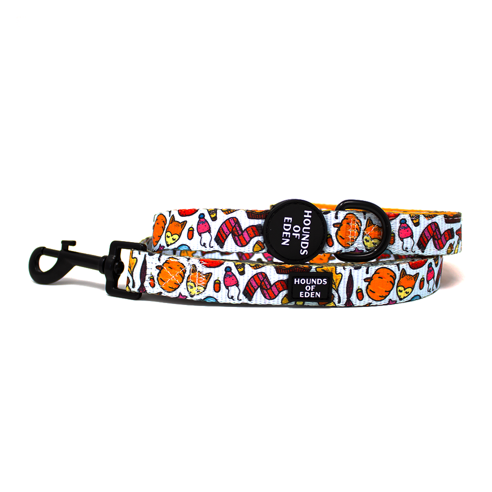 Country Pupkin Autumn Dog Collar