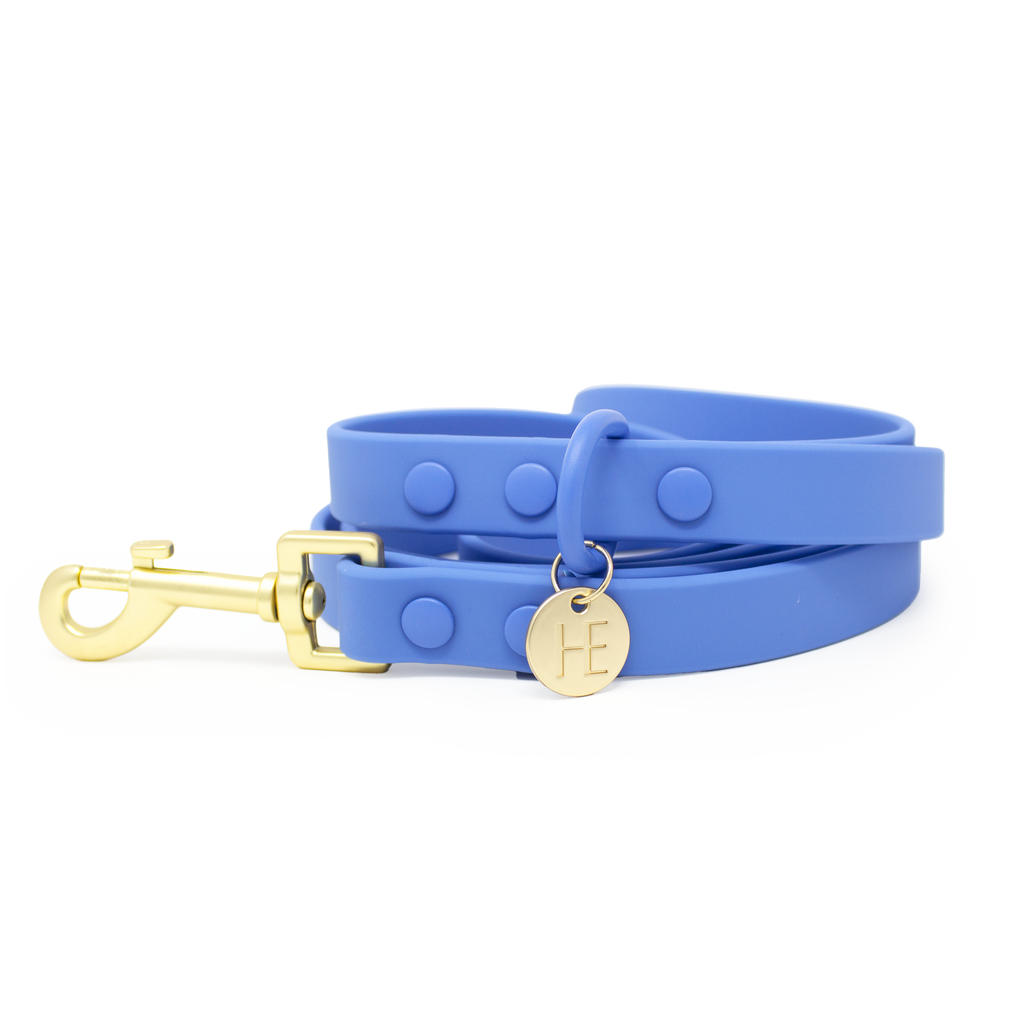 Lichen Blue 'All Weather' Dog Lead