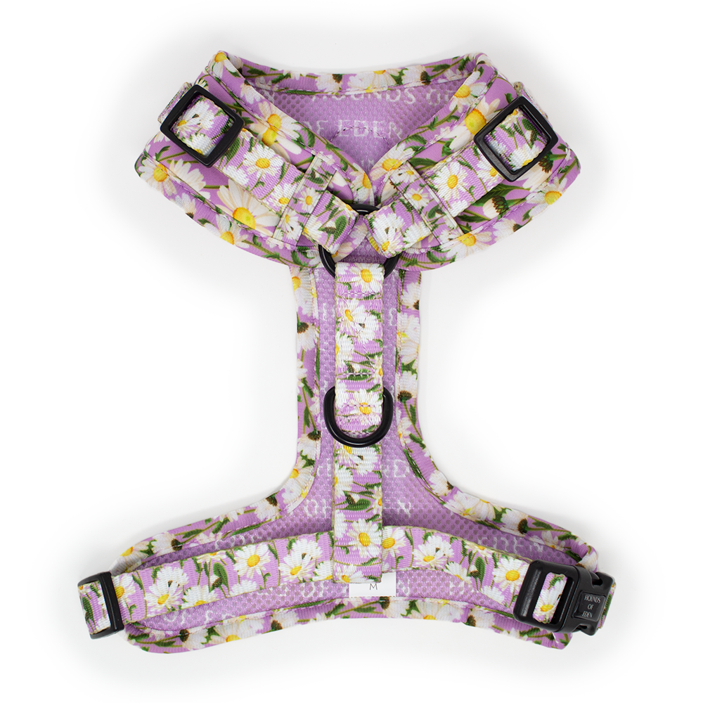 Daisy Dreams Design Dog Harness