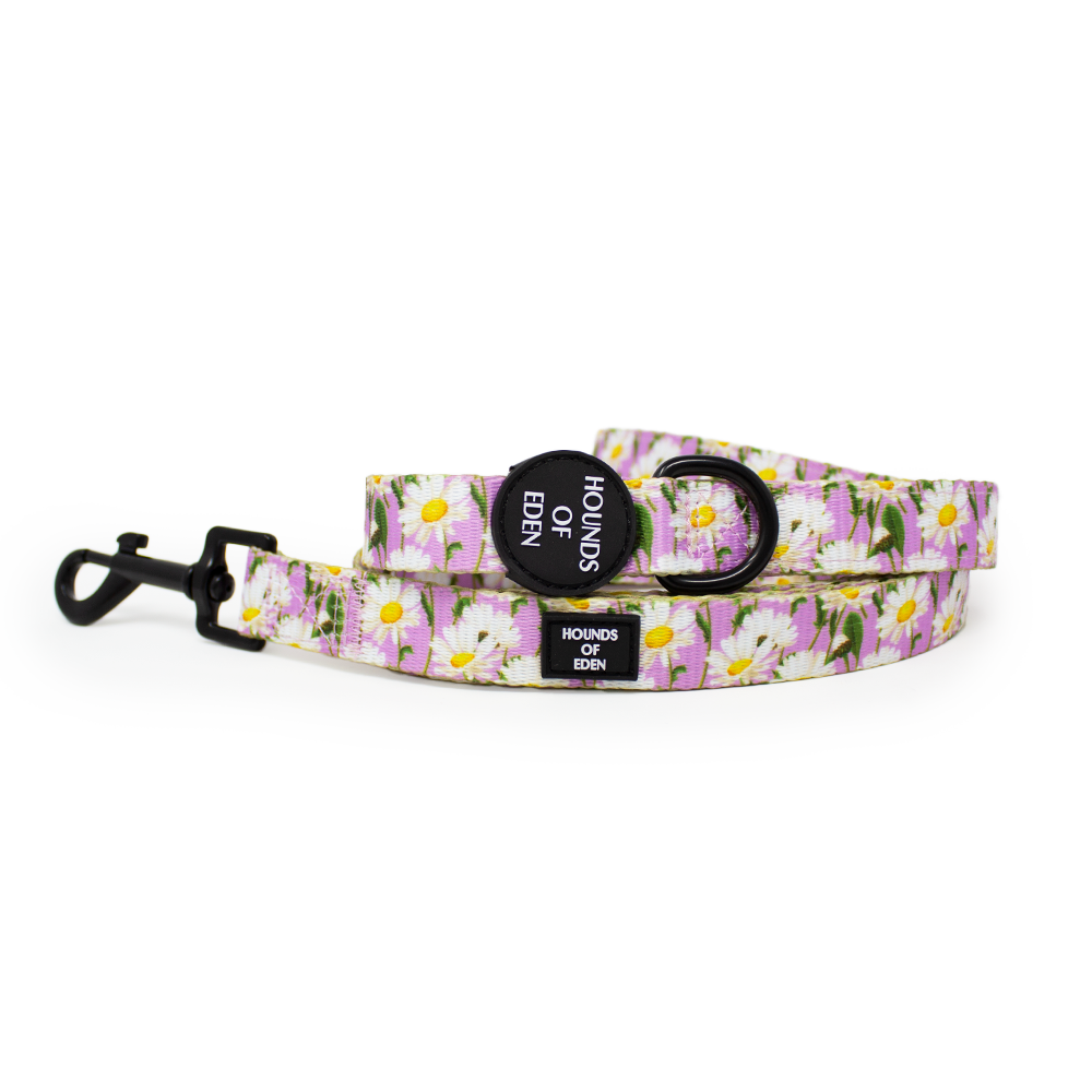 Daisy Dreams Design Dog Lead
