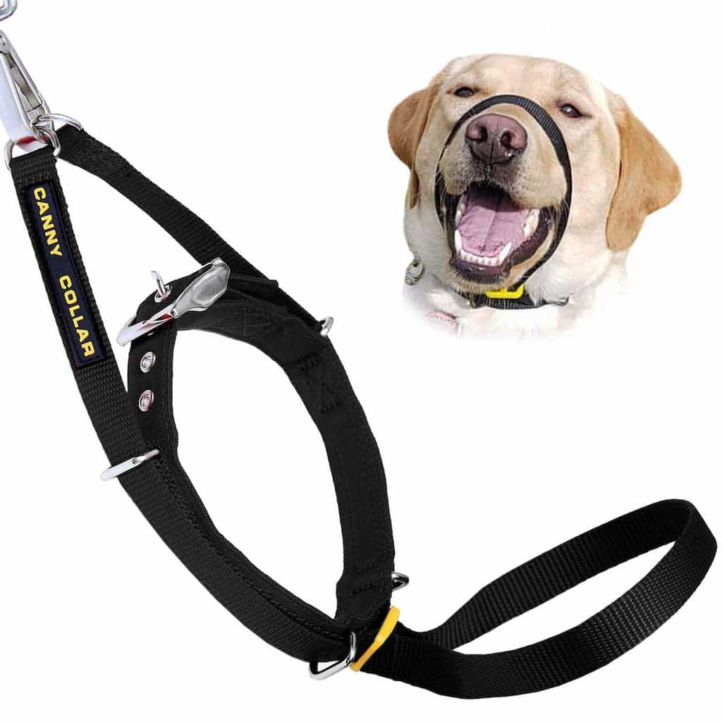 Canny Collar | No-Pull Dog Headcollar