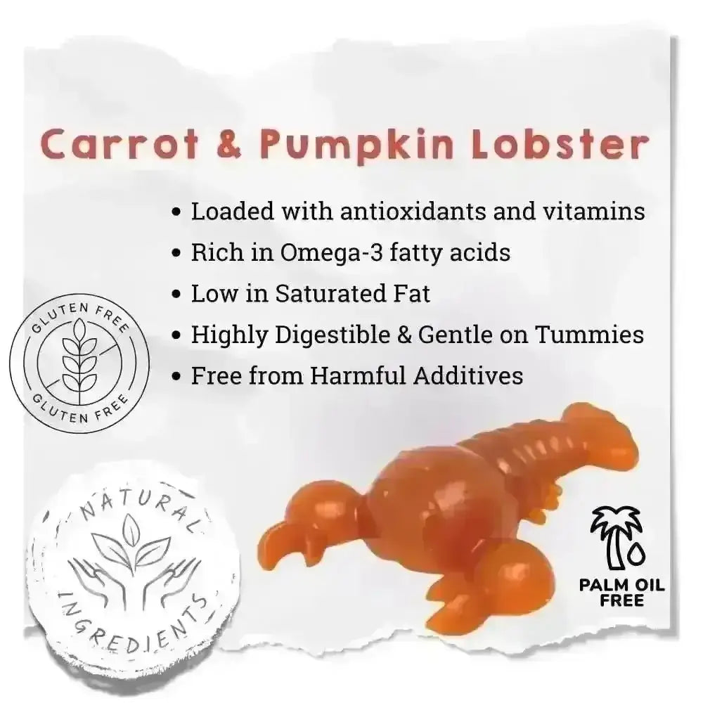 Carrot & Pumpkin Lobster Dog Chew