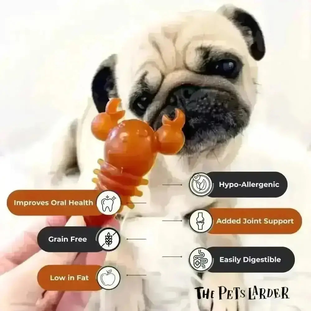 Carrot & Pumpkin Lobster Dog Chew