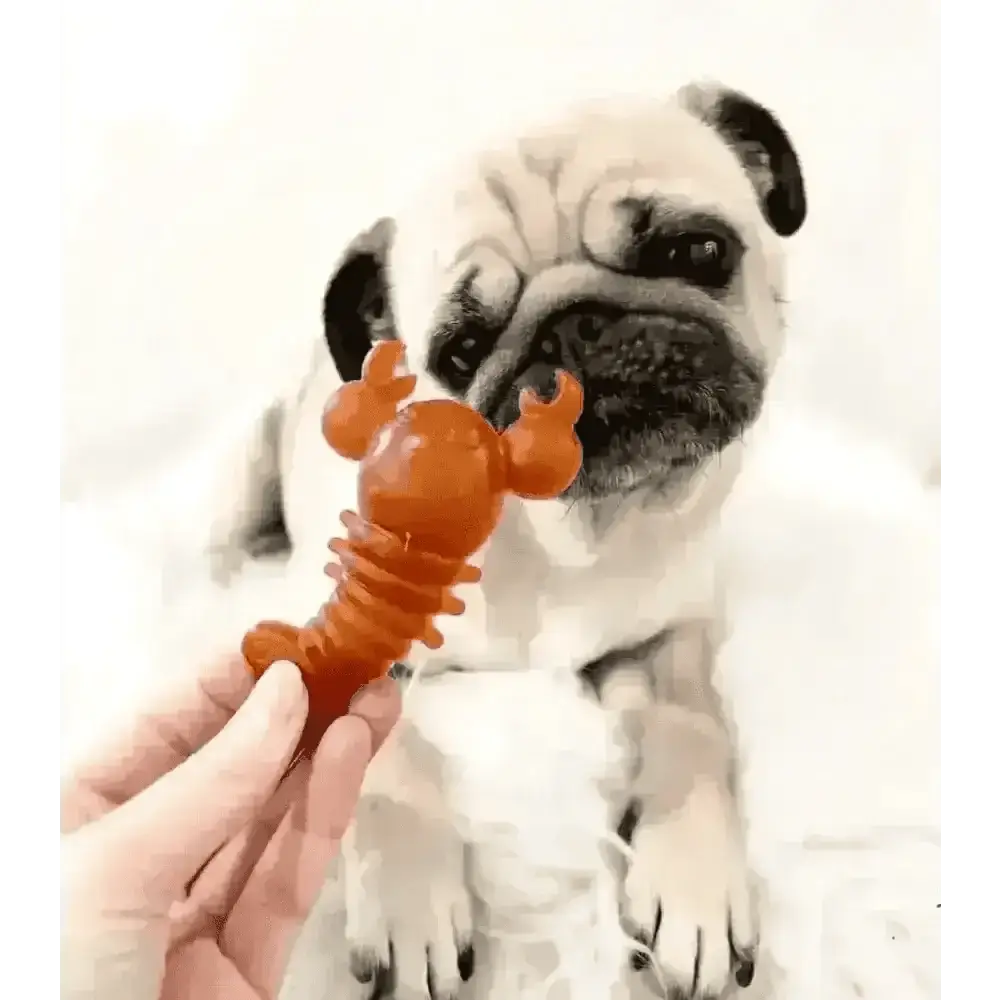 Carrot & Pumpkin Lobster Dog Chew