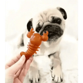 Carrot & Pumpkin Lobster Dog Chew