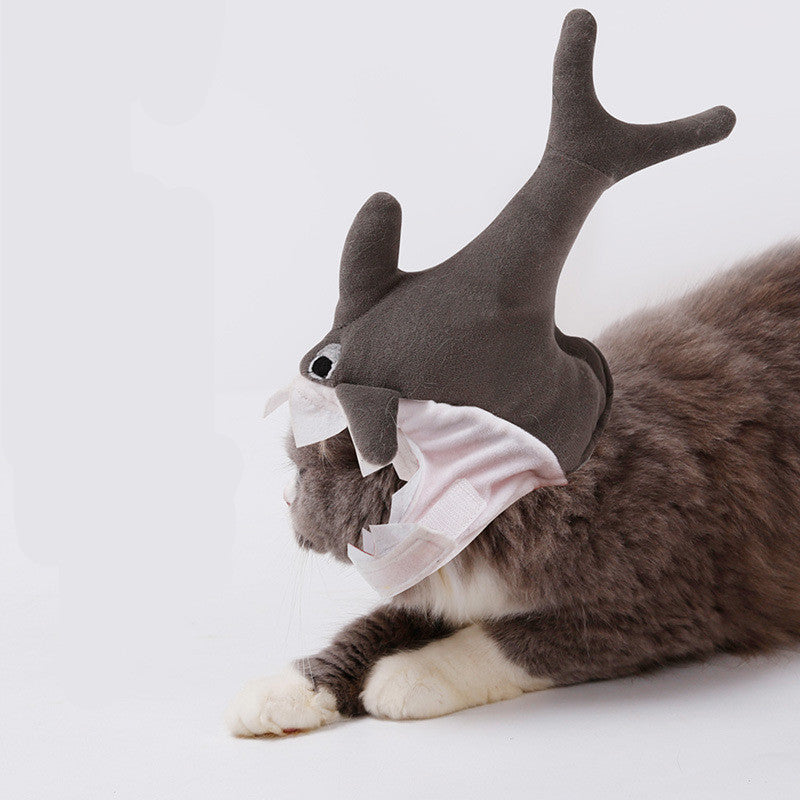 Halloween Shark Dog Hat 🦈🎃