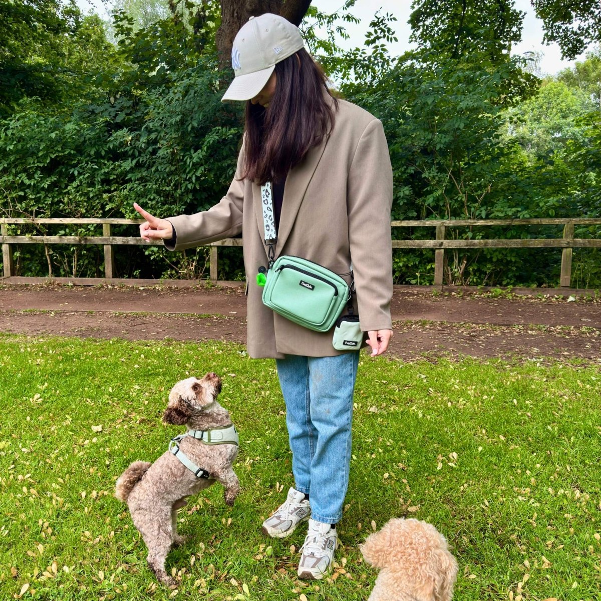 Crossbody Dog Walking Bag – Sage Green