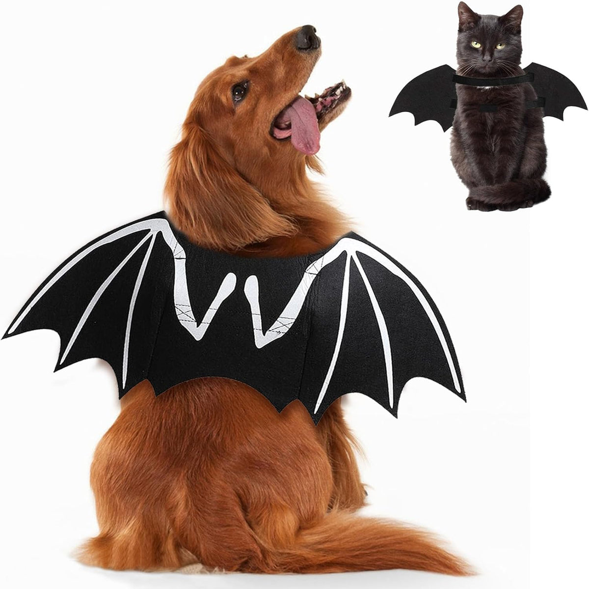 Skeleton Bat Wings Halloween Dog Costume 🦇🎃