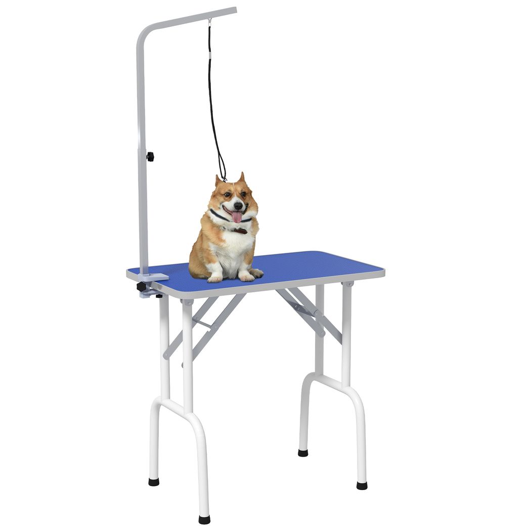 PawHut Foldable Dog Grooming Table with Adjustable Arm
