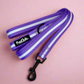 Lilac Blush Dog Lead – 5ft