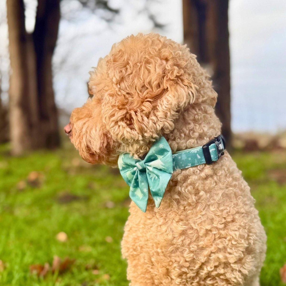 Evergreen Trails Dog Sailor Bow 🌲