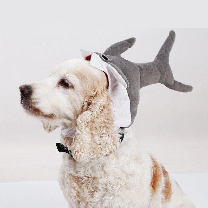 Halloween Shark Dog Hat 🦈🎃