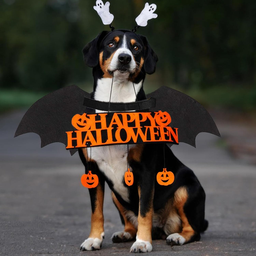 Skeleton Bat Wings Halloween Dog Costume 🦇🎃