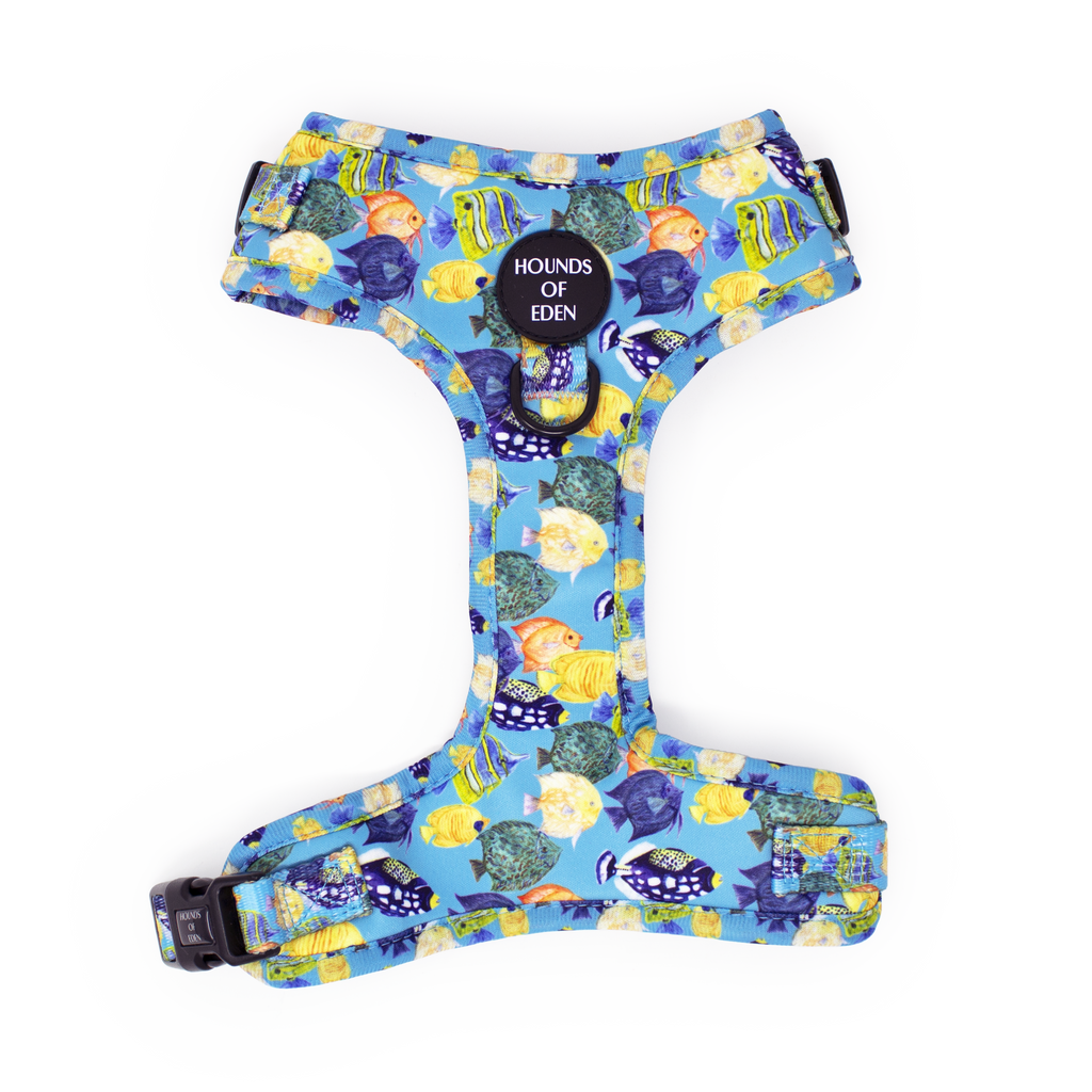 Under The Sea Design Dog Collar