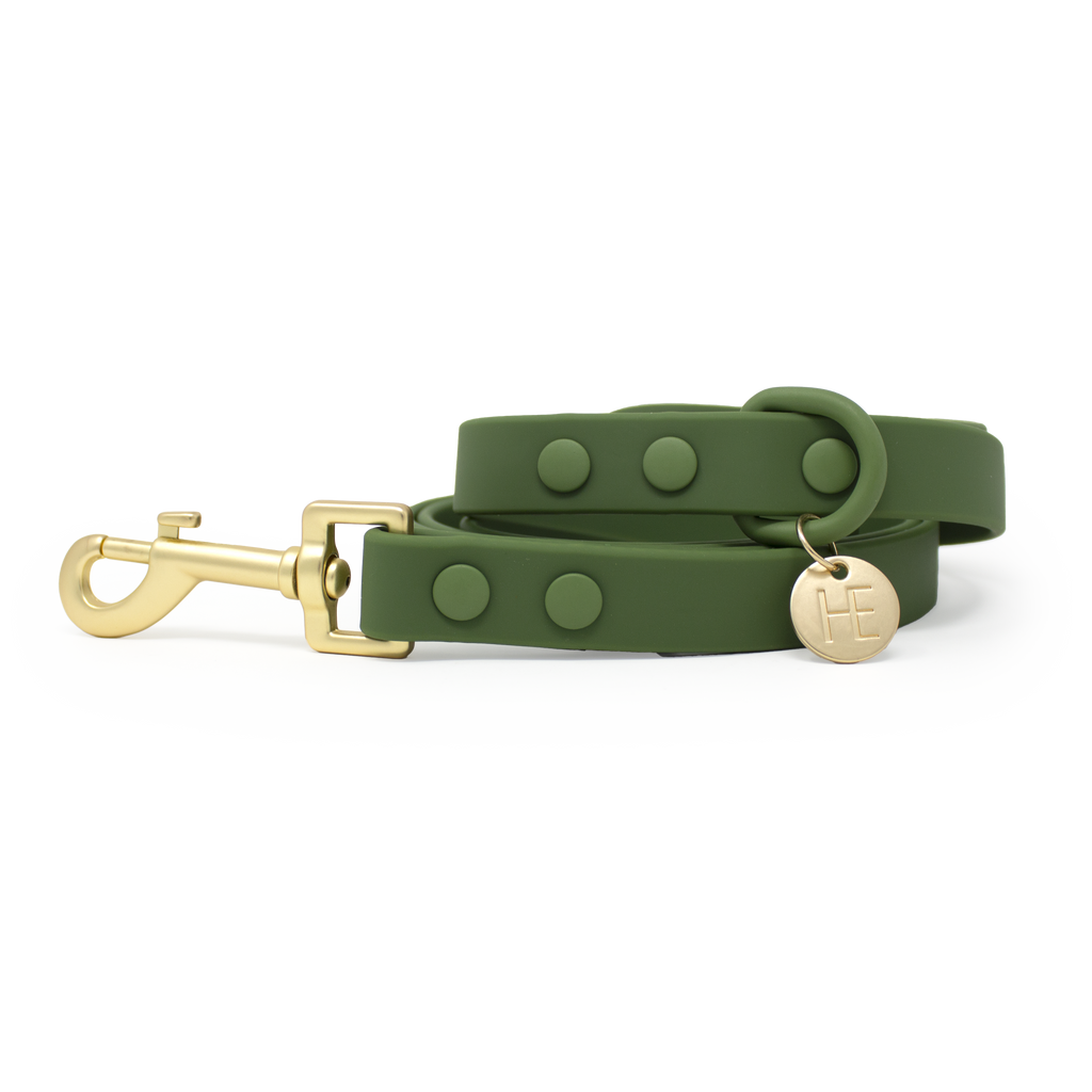 Forest Green 'All Weather'Dog Lead