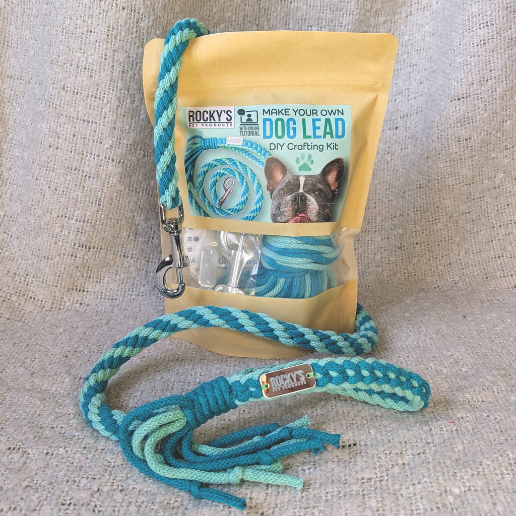 Make Your Own Dog Lead Craft Kit – Mint 🐾