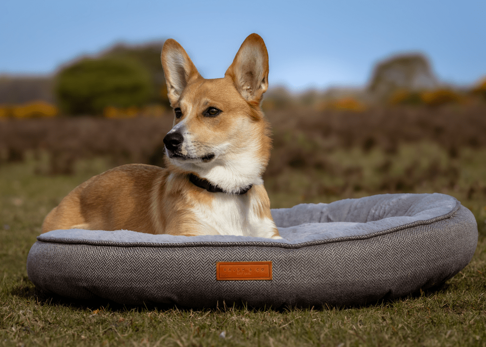 The Balmoral Herringbone Donut Dog Bed