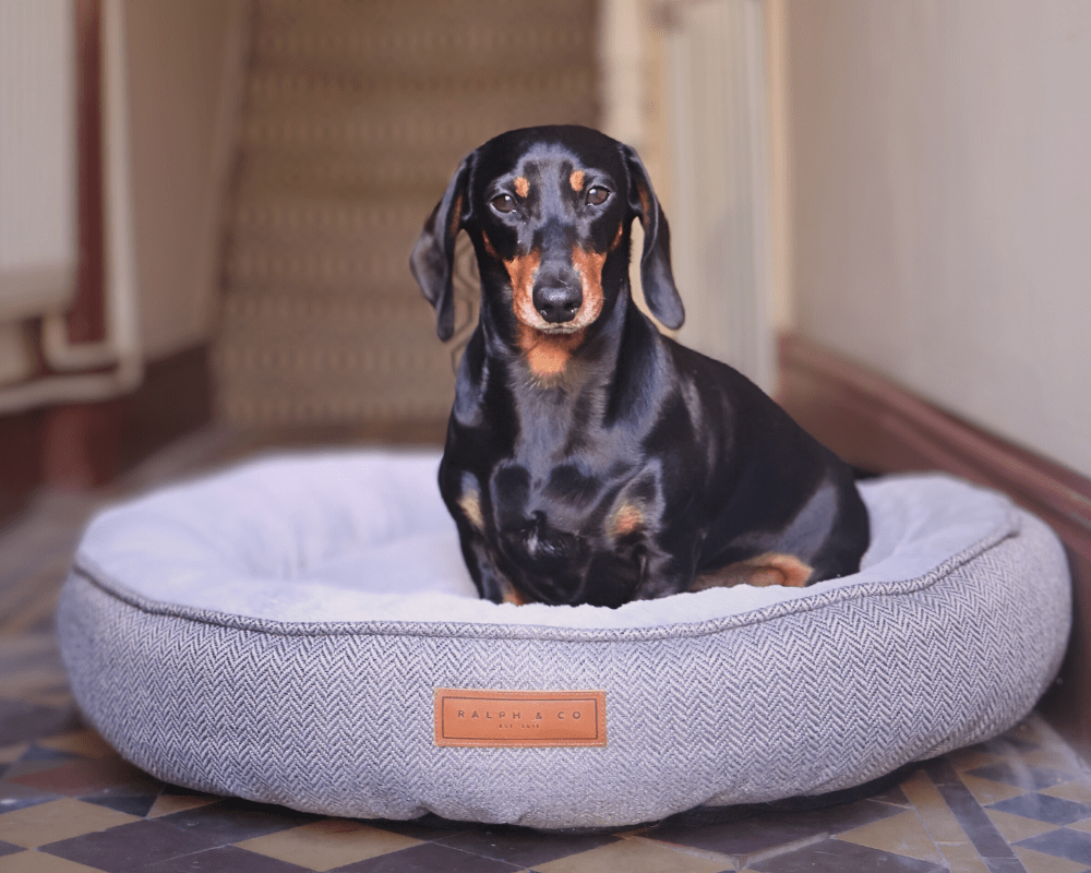 The Balmoral Herringbone Donut Dog Bed