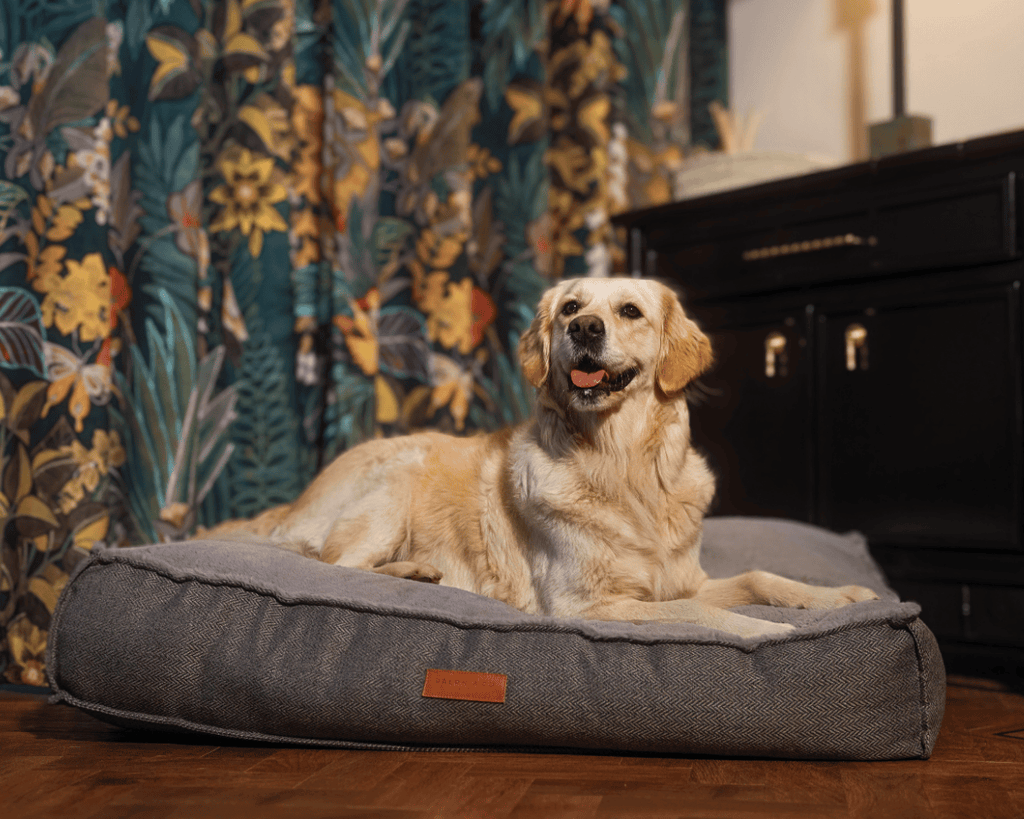 The Balmoral Herringbone Flat Pillow Dog Bed