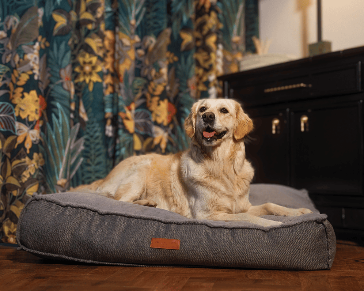 The Balmoral Herringbone Flat Pillow Dog Bed