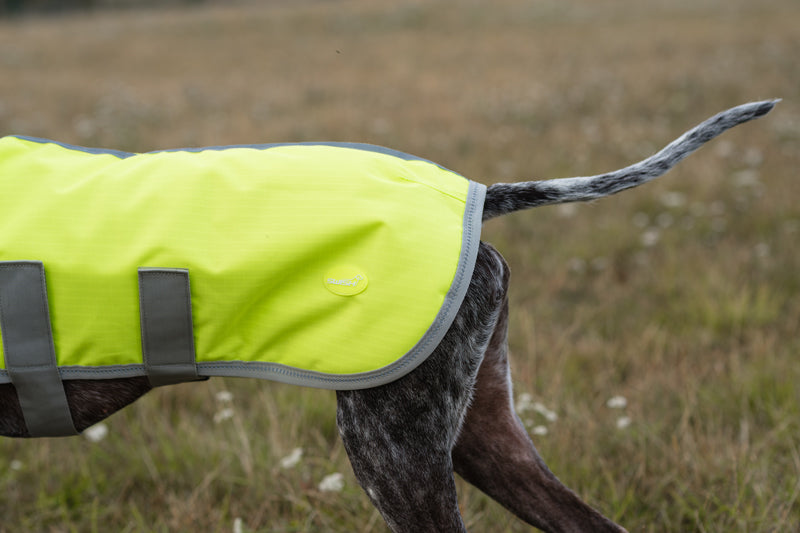 Classic 150g Waterproof Dog Coat – High Viz Yellow 🐾