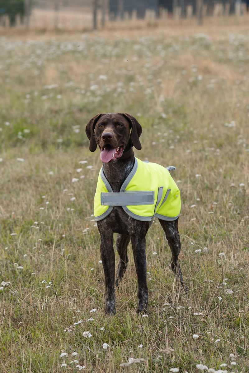 Classic 150g Waterproof Dog Coat – High Viz Yellow 🐾