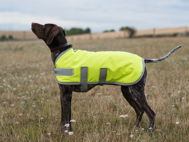 Classic 150g Waterproof Dog Coat – High Viz Yellow 🐾