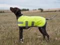 Classic 150g Waterproof Dog Coat – High Viz Yellow 🐾