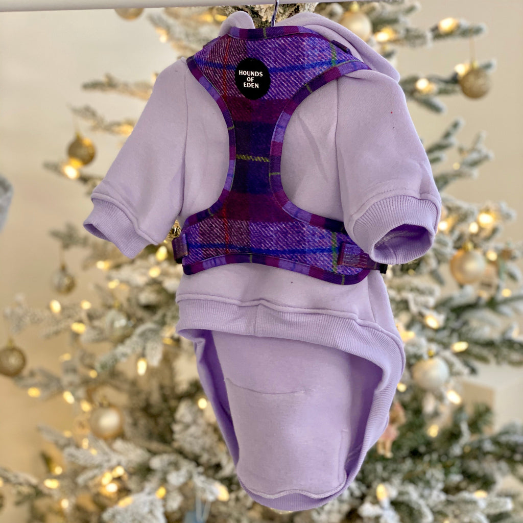 Lilac Dog Hoodie