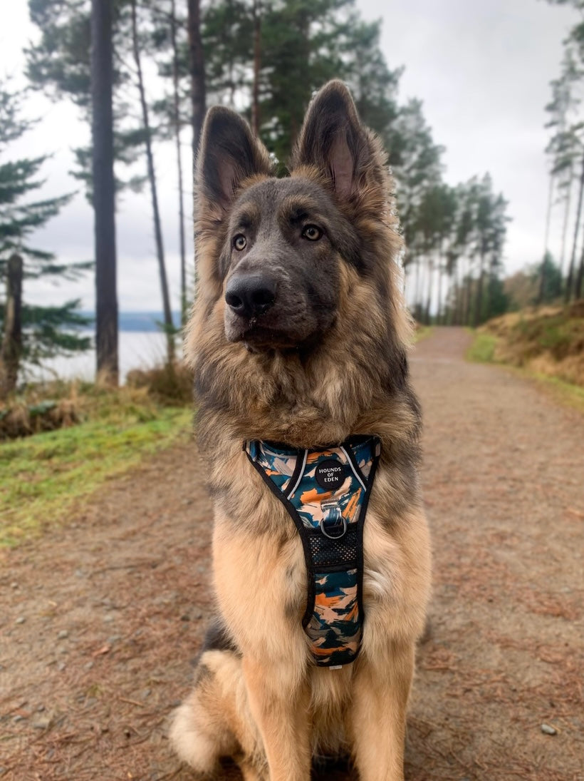 Supaw Strong™ 'Brush It Off' Utility Harness