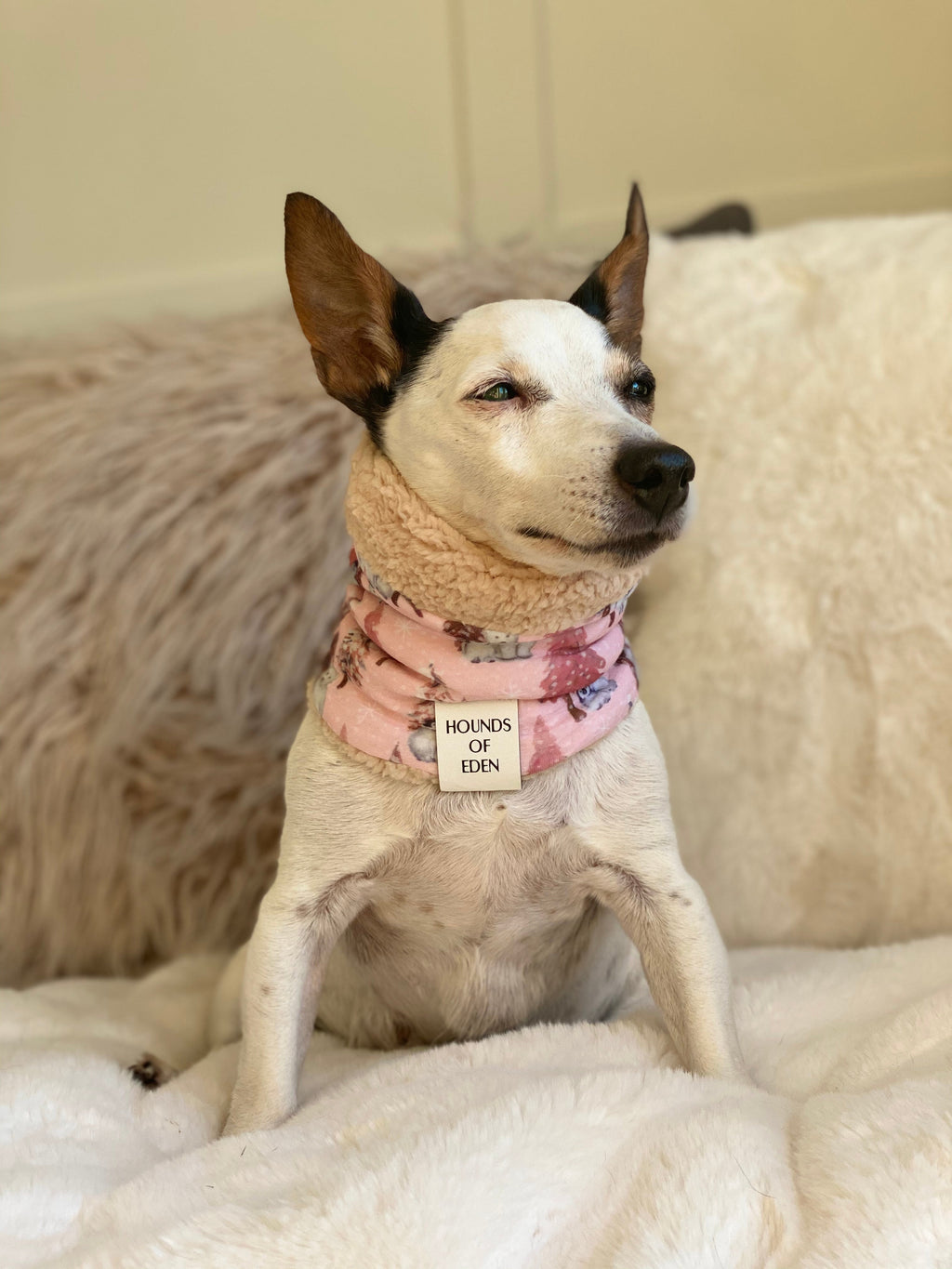 Arctic Wonderland Reversible Dog Snood