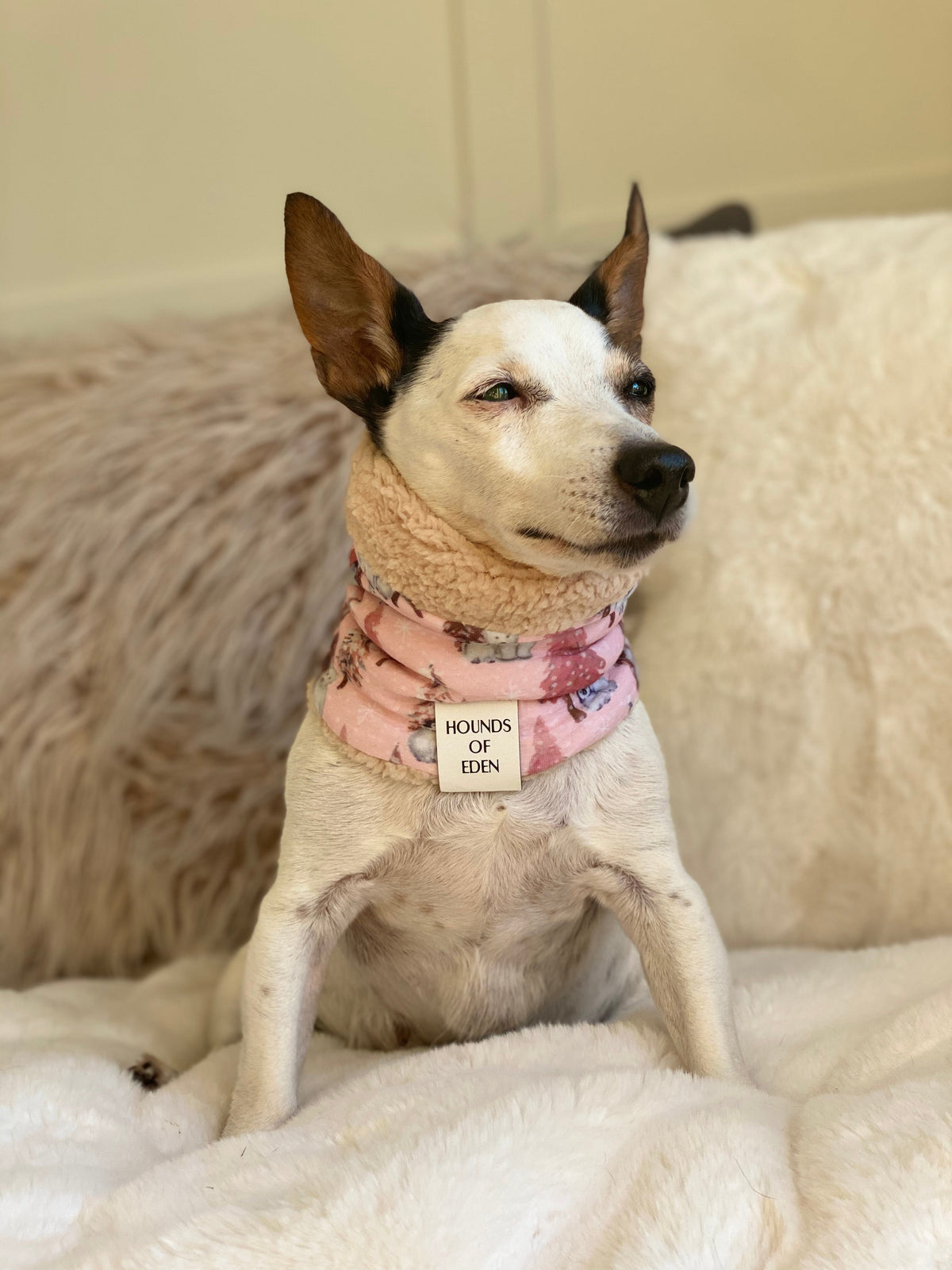 Arctic Wonderland Reversible Dog Snood