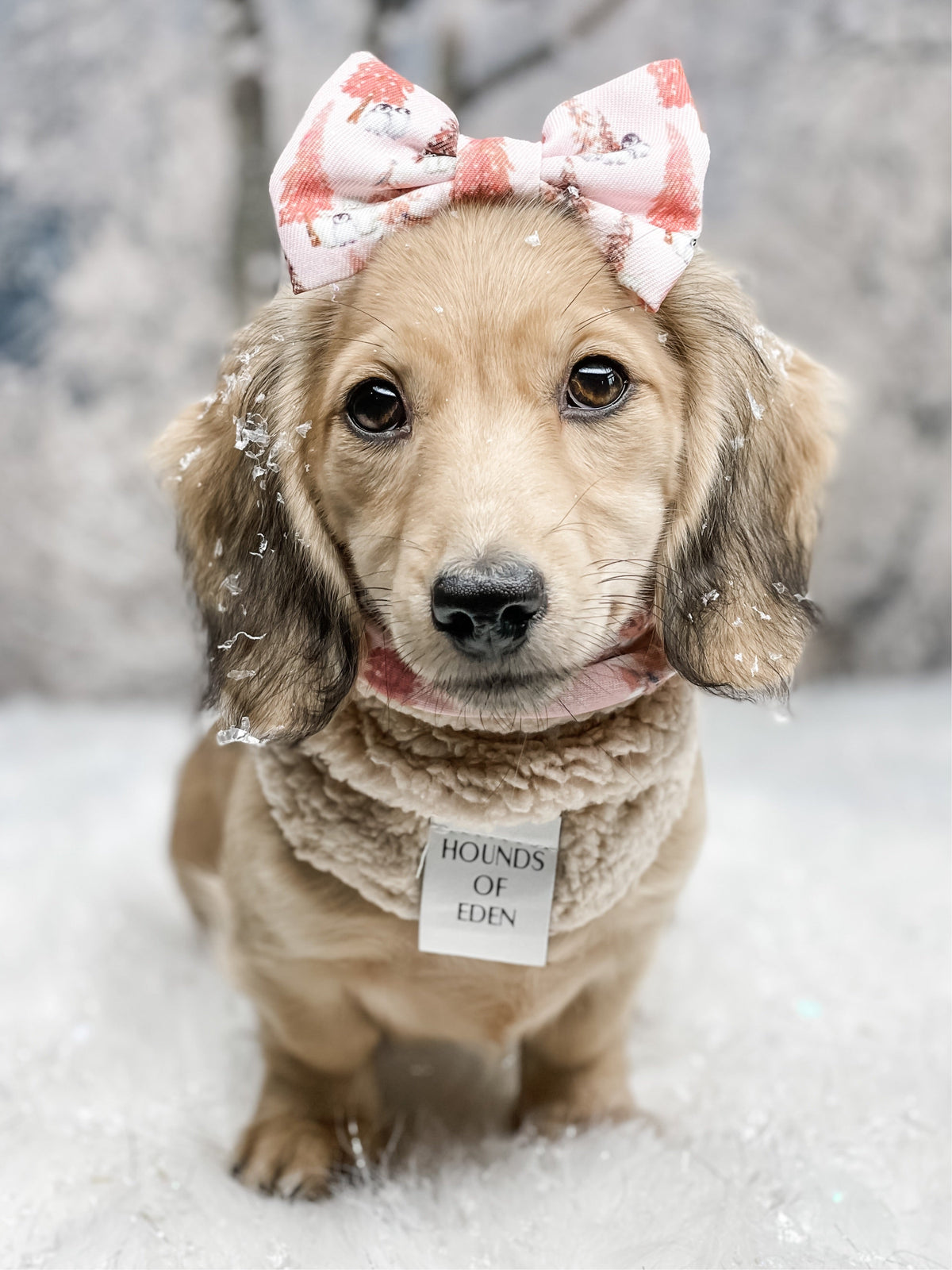 Arctic Wonderland Reversible Dog Snood