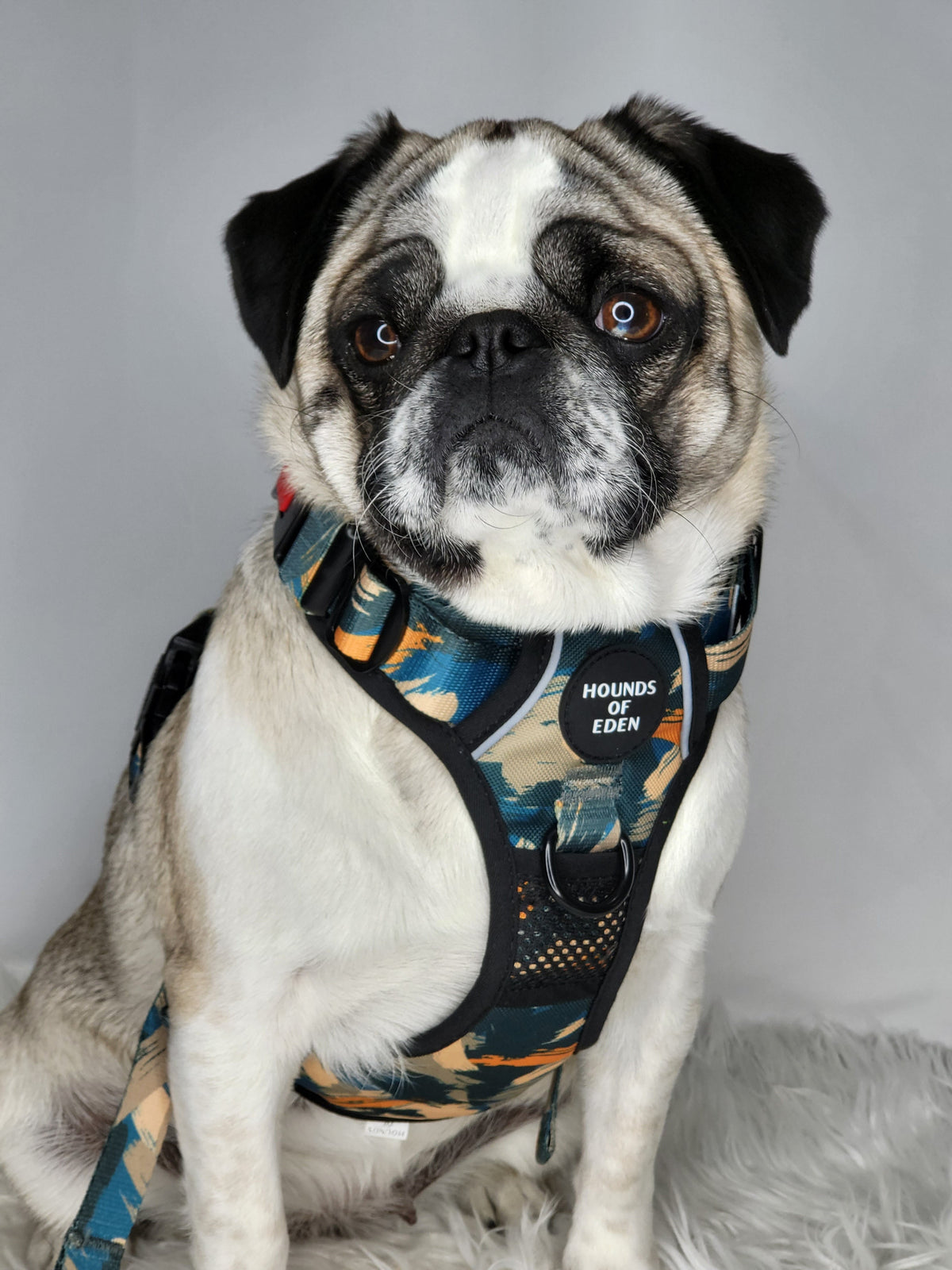Supaw Strong™ 'Brush It Off' Utility Harness