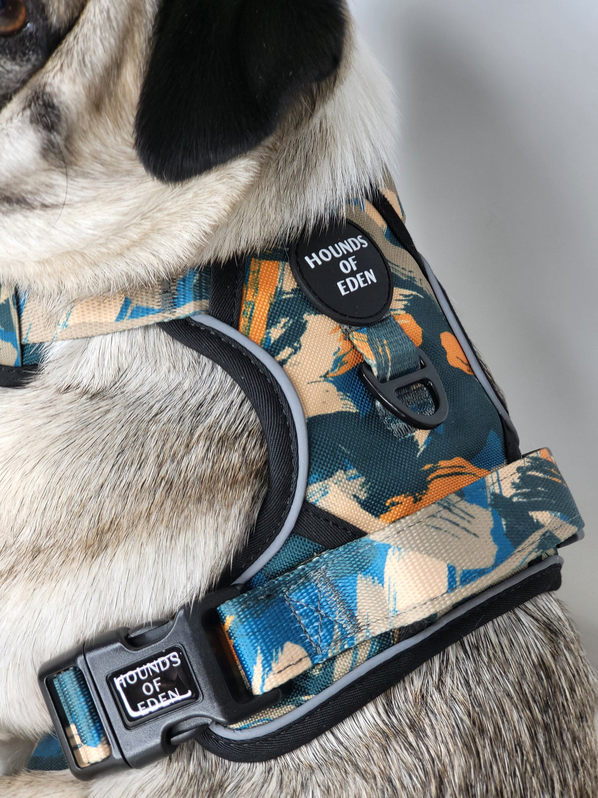 Supaw Strong™ 'Brush It Off' Utility Harness
