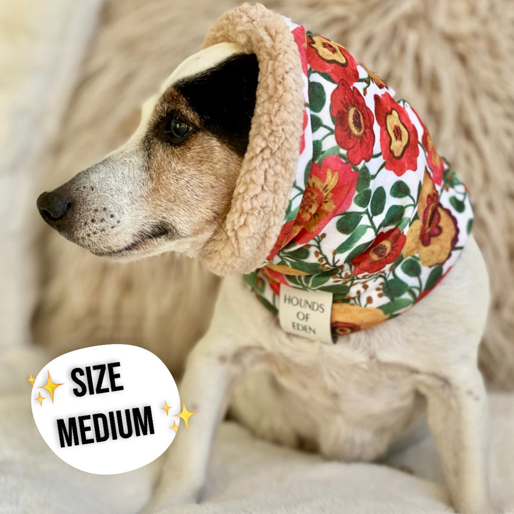 Autumn Blossom Reversible Dog Snood