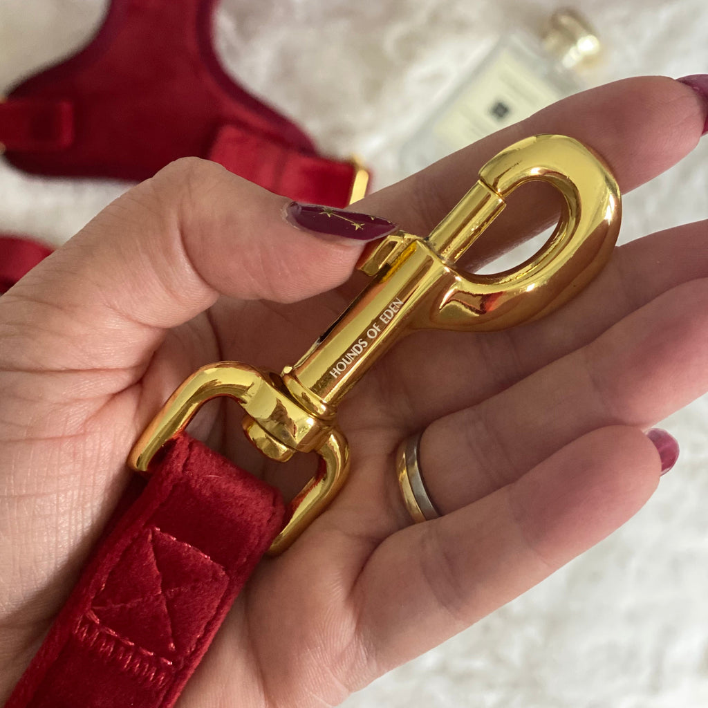 Ruby Red Velvet Dog Lead