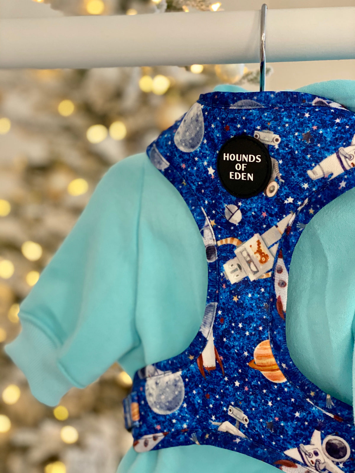 Light Teal Dog Hoodie with Fleece Lining